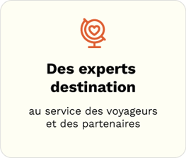 experts